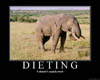 Dieting