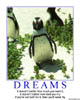 Dreams
